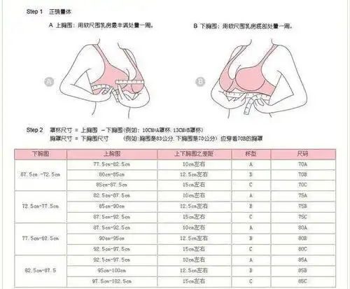 c罩杯有多大物体比喻罩杯的比喻