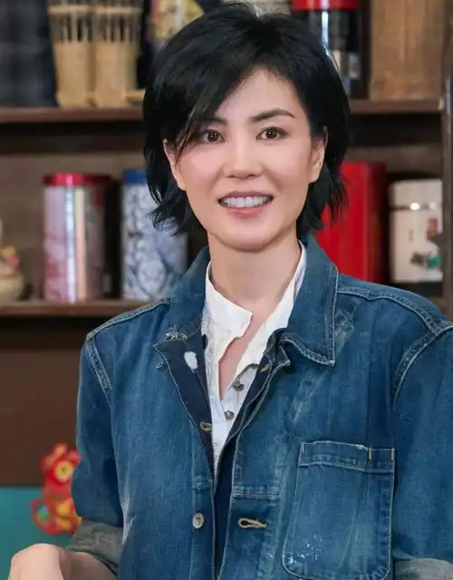 《国家宝藏》王菲状态绝佳 请交出你的颜值保鲜秘诀! - cosmedna