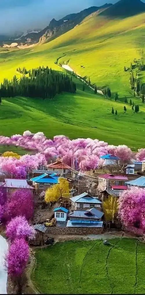 祖国的大好河山,风景美如画_网易订阅