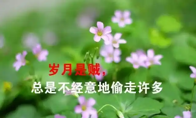 经典语句图片文字伤感的句子说说心情