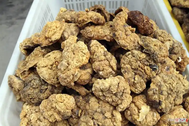 人胎盘真的能吃吗 胎盘真的可以吃吗