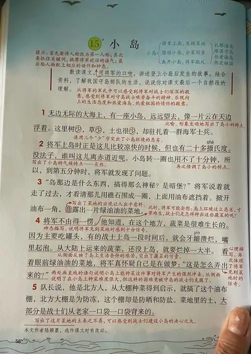 五上课堂笔记小岛