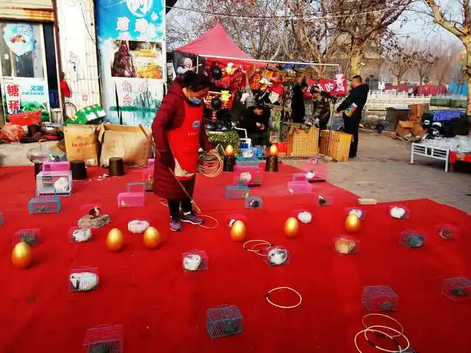 【新春第一篇】金乡年味浓♥套圈♥ - 美篇