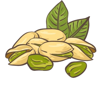 开心果pngpsd2000*2000卡通杏仁元素pngpsd2000*2000卡通松果树pngpsd