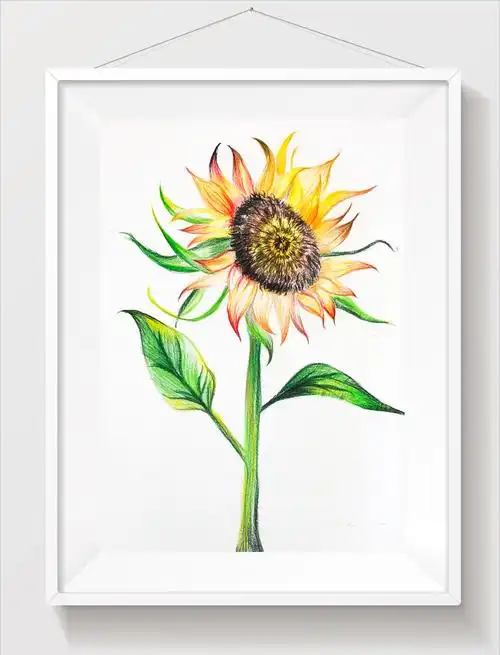 红象美育2019暑期彩铅主题课学员--杨梓暄