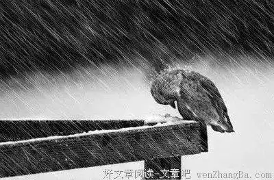 人生的困境,是一次磨练自己的机会!