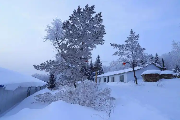 长白山仙峰雪岭无人区 写美篇自驾线路: 延龙公路s206入口→仙峰森林