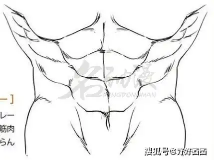 腹肌简笔画男生腹肌简笔画