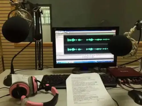 怎么用荔枝fm喜马拉雅喜配音赚钱有技巧吗