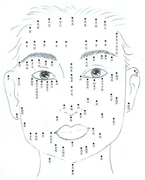 看看你们的痣长对位置了吗?