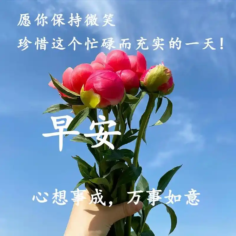 早上好最新动图带文字早安心语正能量奋斗语录