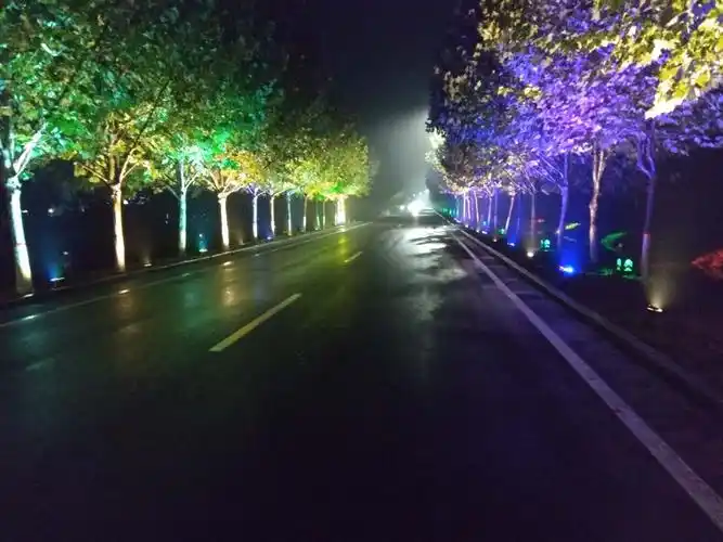 高标准打造花都,花海,花溪,花博等6条景观道路以及重要节点景点夜景