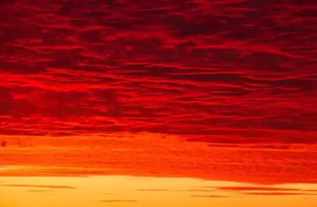 童谣四大红四大白四大黑四大舒坦四大响