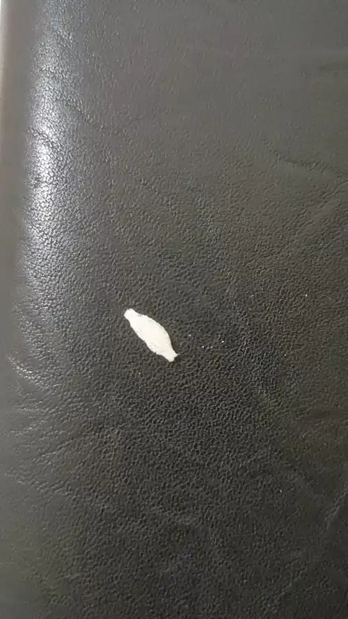 家里有白色细长的虫子 - 抖音