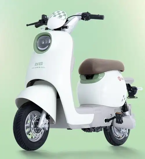 9月新品电动车上市物美价廉舒适好骑适合普通上班族代步