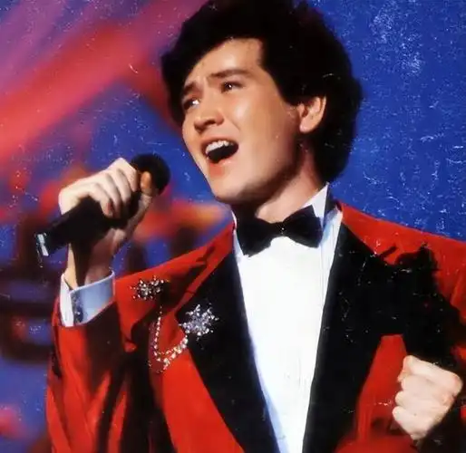 回顾叶倩文:嫁给大14岁的林子祥,结婚28年无儿女,61岁已经白头