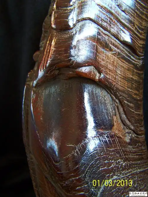 [求鉴] 整根犀牛角