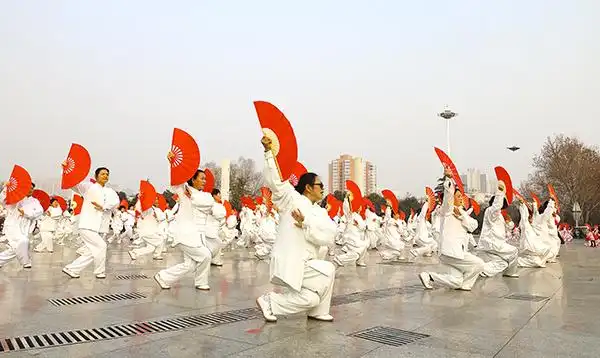 平顶山市老年人迎新春太极拳展示活动精彩举行