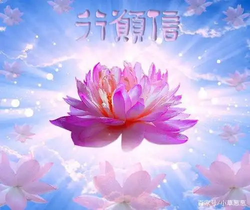 与弥陀同心同愿,去极乐全面提升