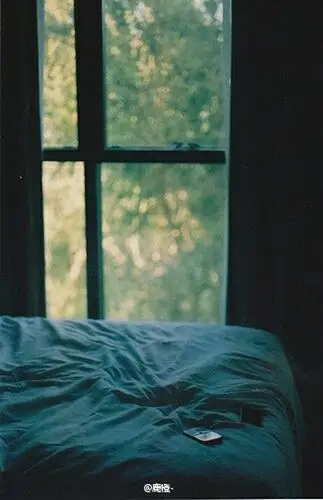 安静-堆糖,美好生活研究所