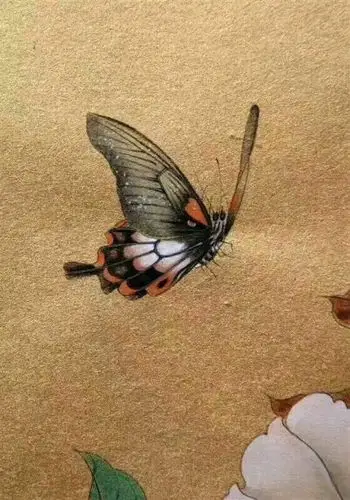 工笔- 堆糖,美图壁纸兴趣社区