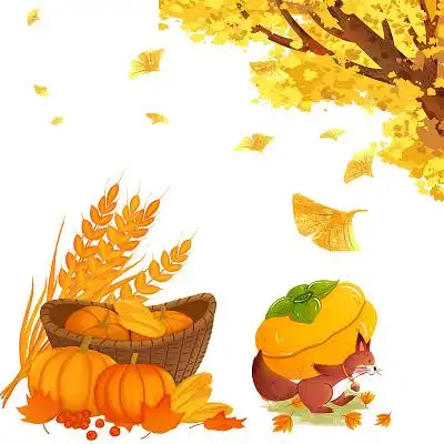 金秋丰收秋天元素卡通松鼠银杏南瓜麦穗png素材