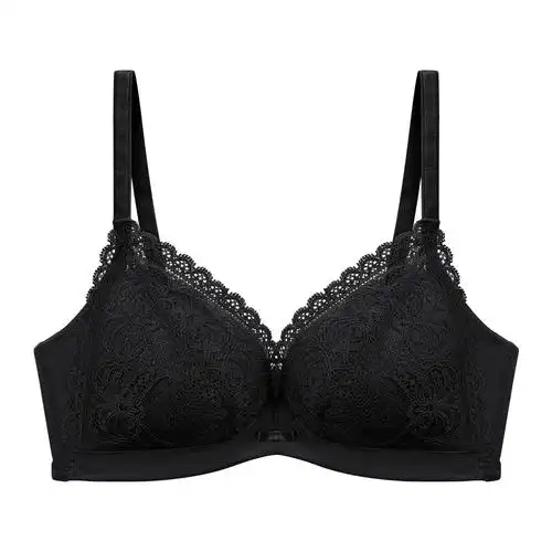 无钢圈性感文胸 蕾丝胸罩聚拢上托大胸显小透气柔软舒适少女内衣