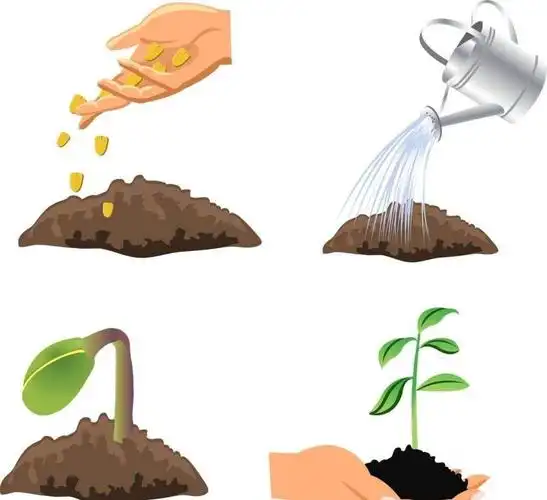 果宝幼儿园>探索种植的快乐,让游戏点亮快乐童年!