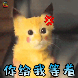 萌宠猫咪猫生气你给我等着soogifsoogif出品gif动图_动态图_表情包