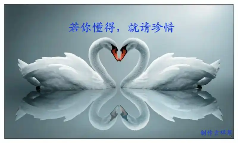 若你懂得,就请珍惜