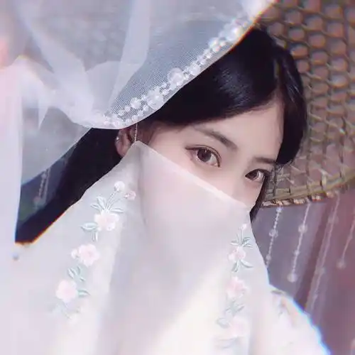 兴汉阁绣花纯色面纱女古风遮脸半透头饰汉服配饰飘逸防晒绣花面纱