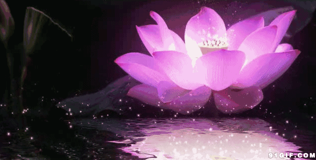 629_318gif 动态图 动图