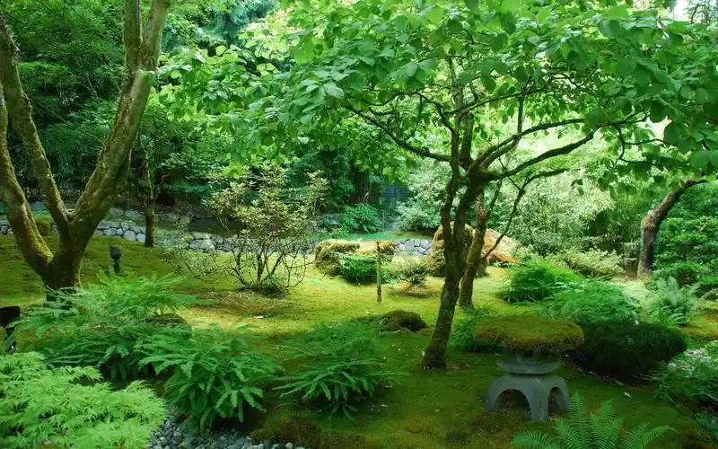 花园,加拿大,公园,树木,绿色壁纸1152x864分辨率查看