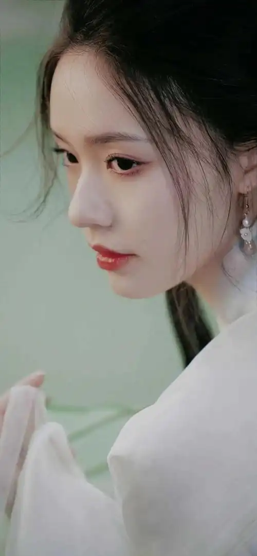 精选高清明星壁纸林允