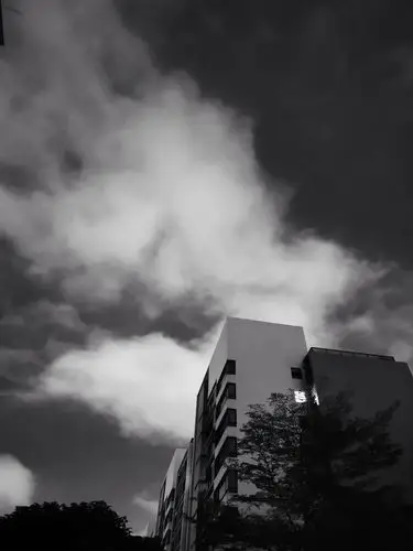 黑白灰 —— 静谧 简洁 唯美