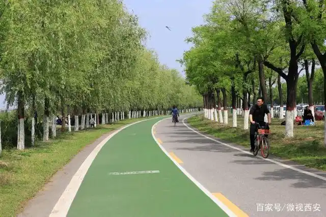 渭河的河堤路也修建了供市民运动的辅道,辅道的中间用绿色建筑材料
