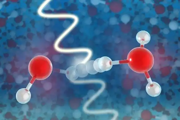 反应是什么意思