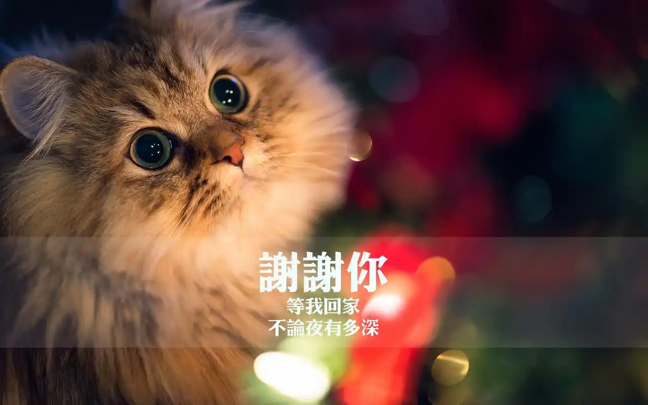 非主流唯美意境感恩节谢谢你创意设计文字桌面壁纸