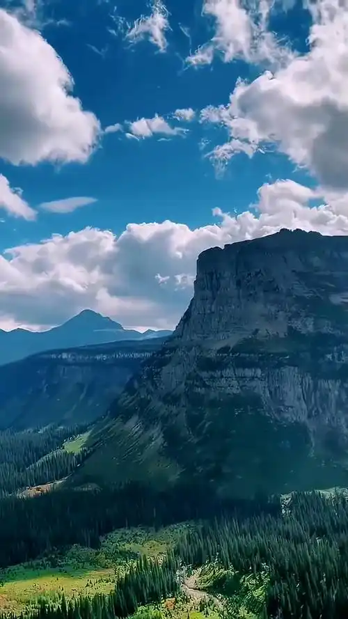 1080_1920竖版 竖屏