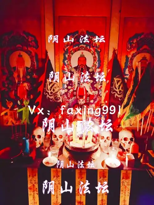 扫码二维码 获取最新动态