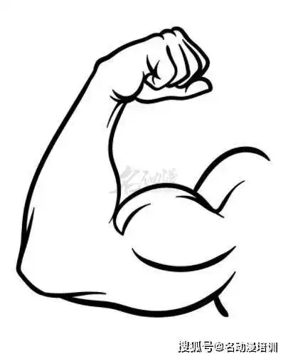 人物手臂绘画方法_肌肉