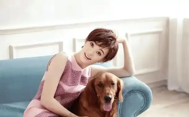 不拍戏就"销声匿迹",不参加综艺的孙俪,打了多少明星的脸?