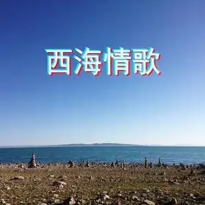 single播放全部更多歌曲歌手时长1西海情歌 (改编版)播放添加到歌单王