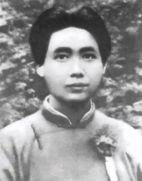 80年代,杨开慧的笔记在墙壁夹缝中被发现,字里行间,满是委屈