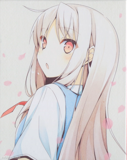 樱花庄的宠物女孩 本命 椎名真白