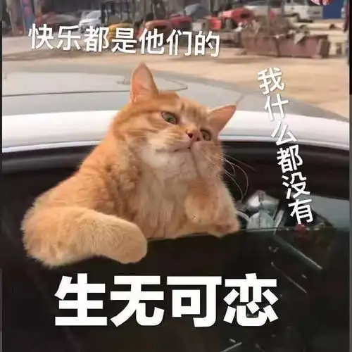 的我什么也没有生无可恋搞怪呆萌gif动图_动态图_表情包下载_soogif