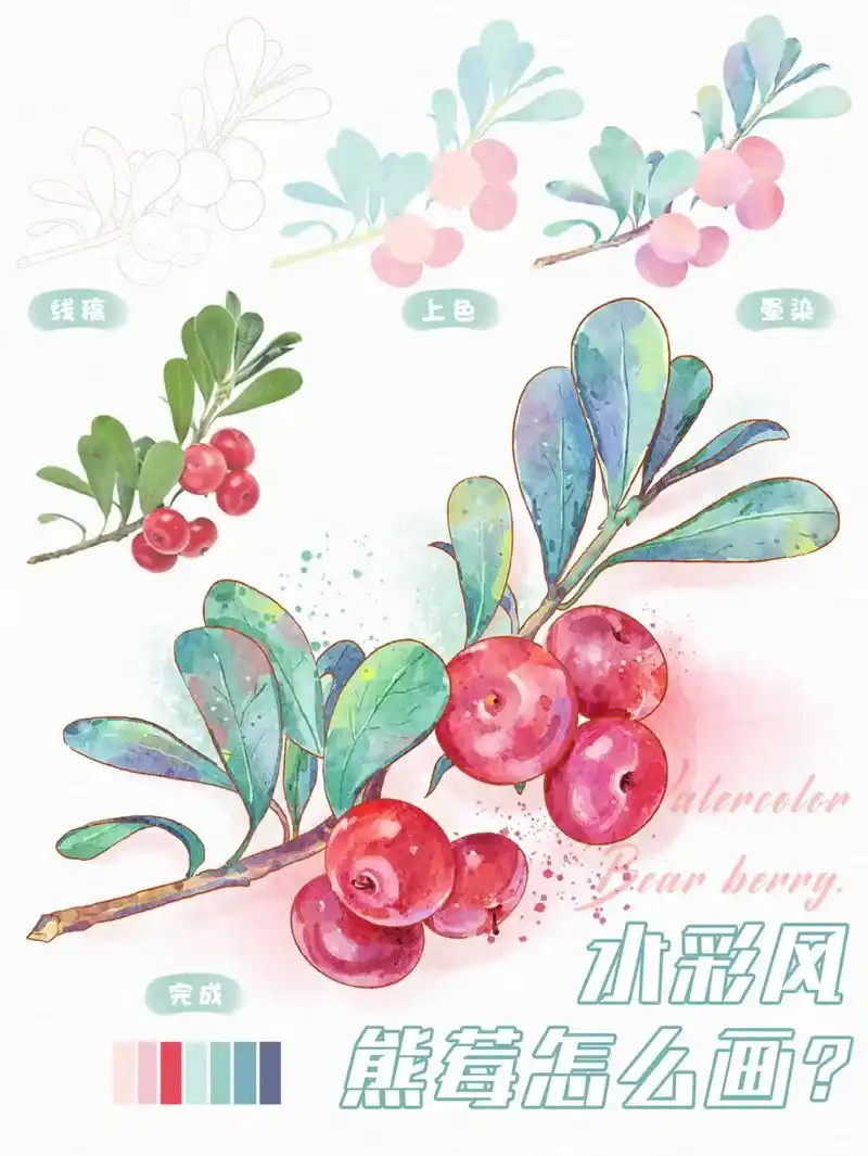 教你画水彩风果子~#宇宙的有趣我才不在意 #插画零基础入门教 - 抖音