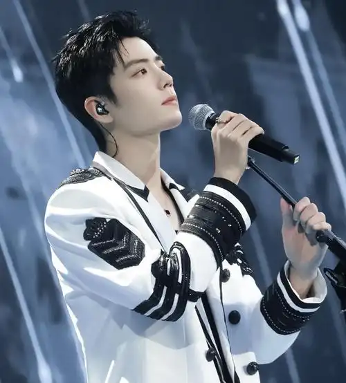 防伪标痣肖战沸腾之夜话题被官方认领将现场演唱光点