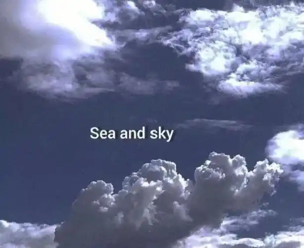 的问题吧 也想很正确的吃减肥餐什么的 自己好好做饭 可是想想菜价