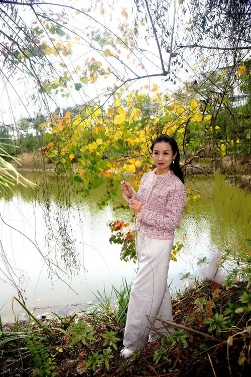 环境人像秋景赏红叶